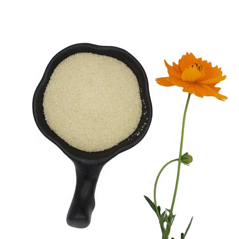 Food Additive Gelatin Halal Food grade Gelatin Powder 280 Bloom 40mesh